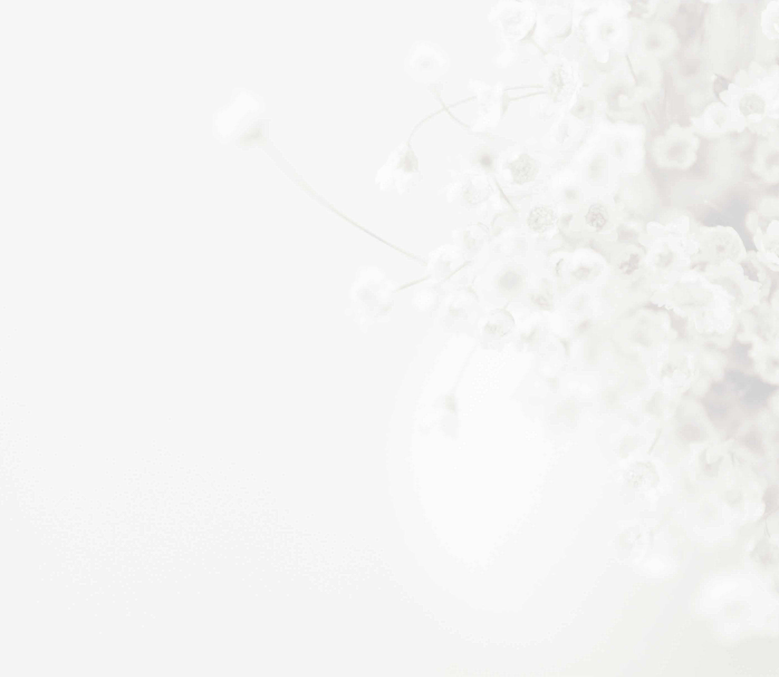 Section background image